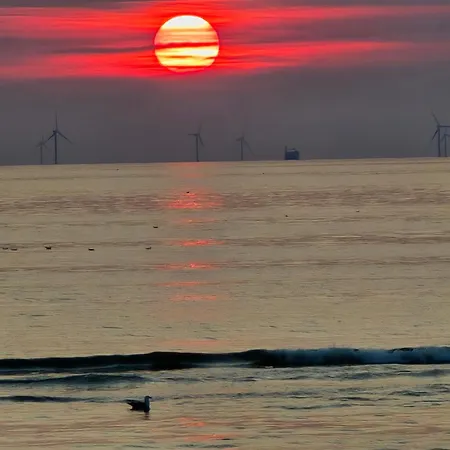 別荘 De Juttershut *